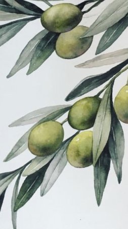 Olive branch with green olives watercolor illustration скачать фон 1080 x 1920