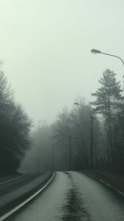 Густой туман скачать фон 720 x 1280