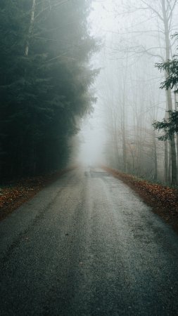 Road photography landscape nature скачать фон 1424 x 2532