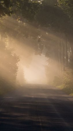 Обои дорога скачать фон 720 x 1280