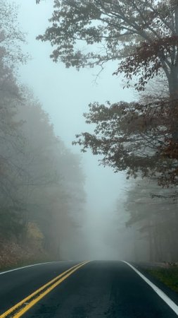 Foggy road скачать фон 720 x 1280
