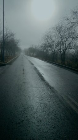 Мокрая дорога скачать фон 2160 x 3840