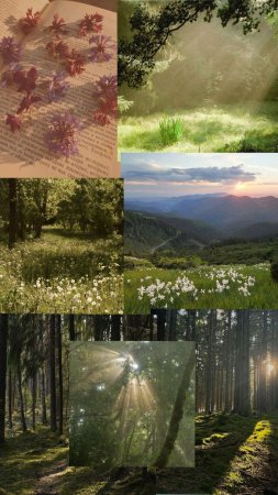 Природа пейзаж