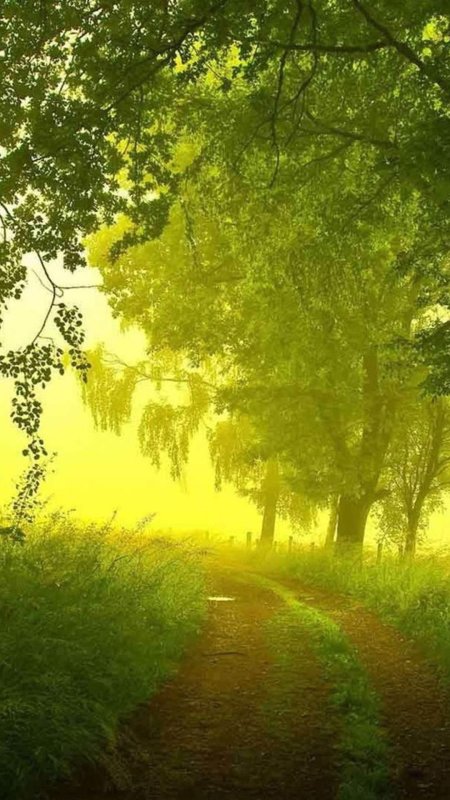 Красивые фоны природа