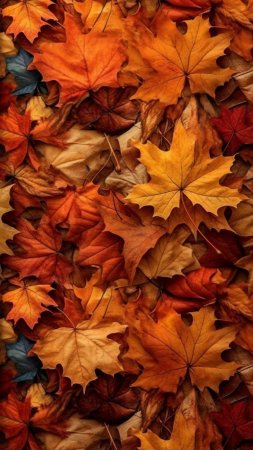 Herbst hintergrund скачать фон 1424 x 2532