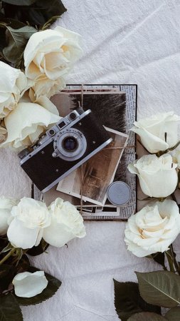 Эстетика фотографа