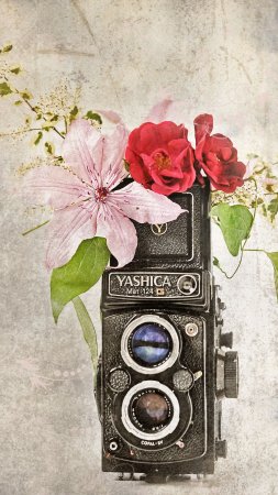 Yashica mat g