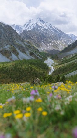 Алтай горный скачать фон 2160 x 3840