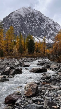 Долина актру алтай скачать фон 1424 x 2532