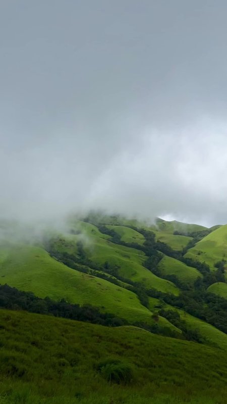 The green hill