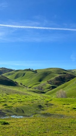 Grassy hill