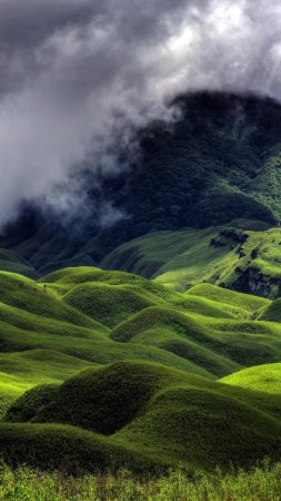 Dzukou valley