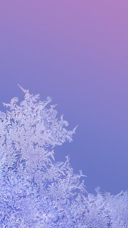 Морозные узоры