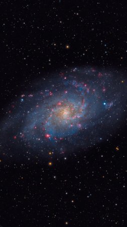 Triangulum galaxy