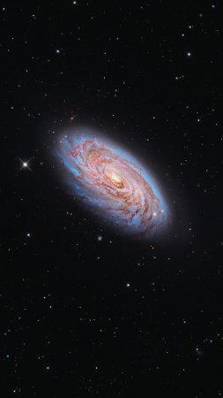 Галактика ngc