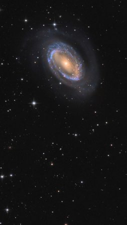 Spiral galaxy ngc