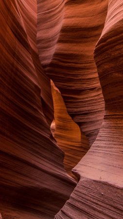 Canyon antilope скачать фон 2160 x 3840