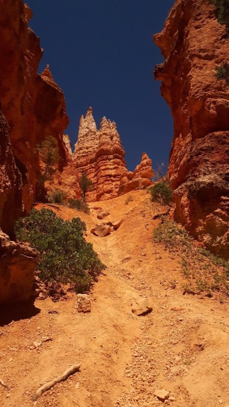 Zion canyon скачать фон 1080 x 1920