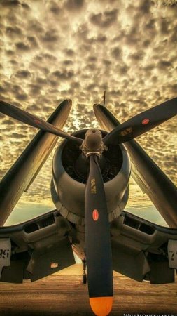 Военные истребители