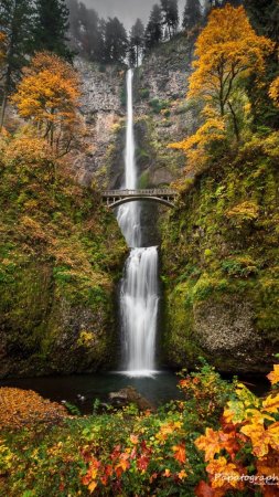 Columbia river gorge national scenic area