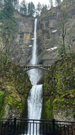 Silver falls state park