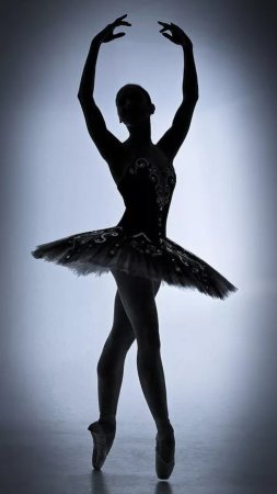 Балерина черная
