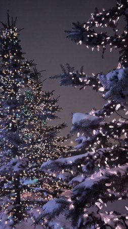 Christmas tree