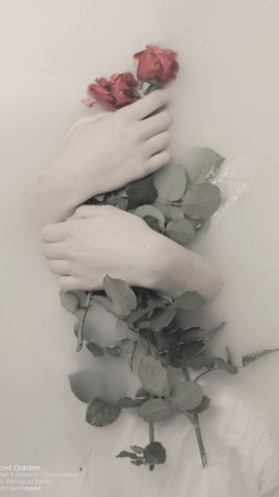 Эстетика чувств скачать фон 1080 x 1920