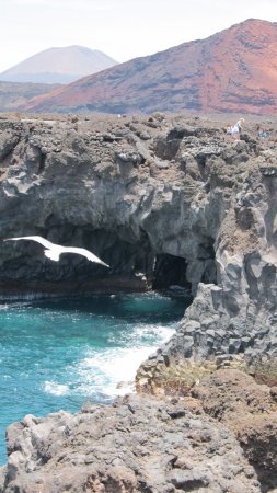 Canarian archipelago