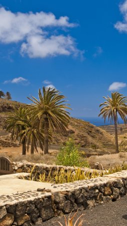 La gomera канарские острова
