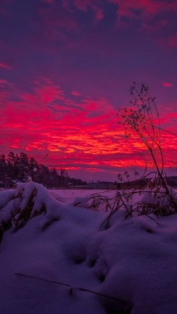 Закат зима