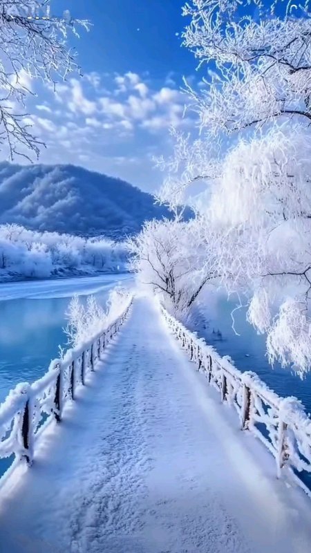 Зима природа