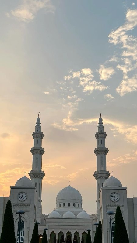 Белая мечеть великий булгар скачать фон 1080 x 1920