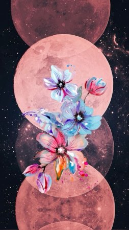 Flower and moon