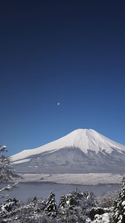Гора-вулкан фудзияма скачать фон 1080 x 1920