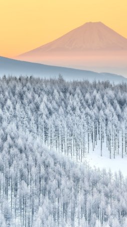 С горы скачать фон 2160 x 3840