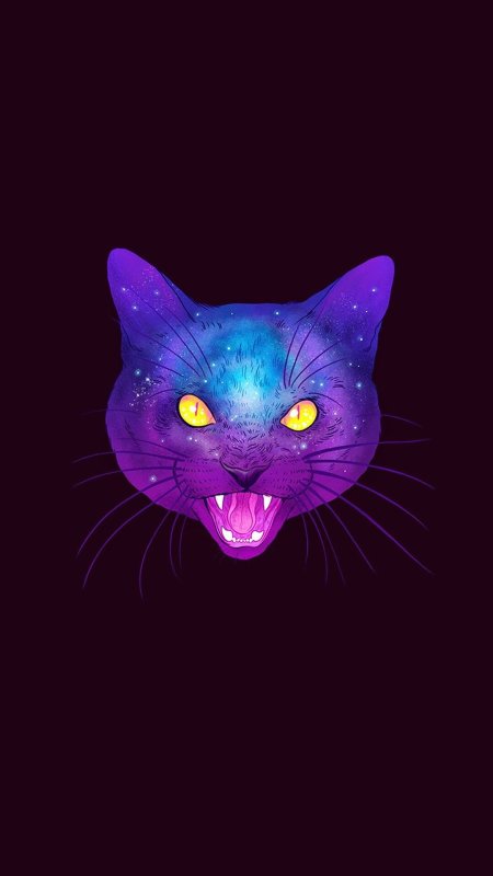 Космическая кошка арт