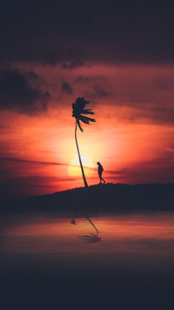 Силуэт на закате скачать фон 2160 x 3840