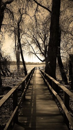 Wooden bridge скачать фон 1080 x 1920