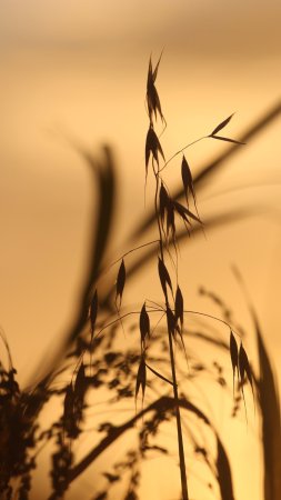 Закат природа скачать фон 1080 x 1920