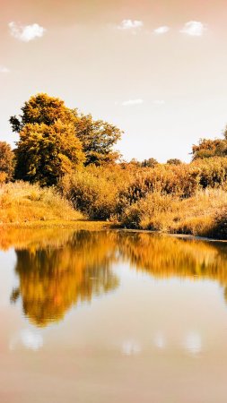 Осенний пейзаж с водой скачать фон 1080 x 1920