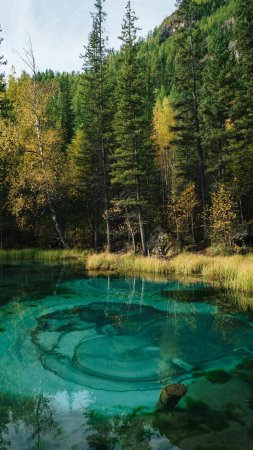 Горный алтай гейзерево озеро скачать фон 2160 x 3840