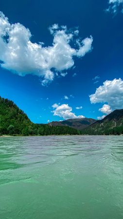 Алтай река катунь скачать фон 720 x 1280