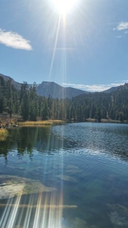 Rocky mountain national park скачать фон 720 x 1280