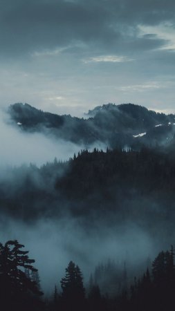 Горы в тумане