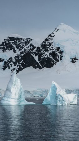In antarctica скачать фон 1080 x 1920