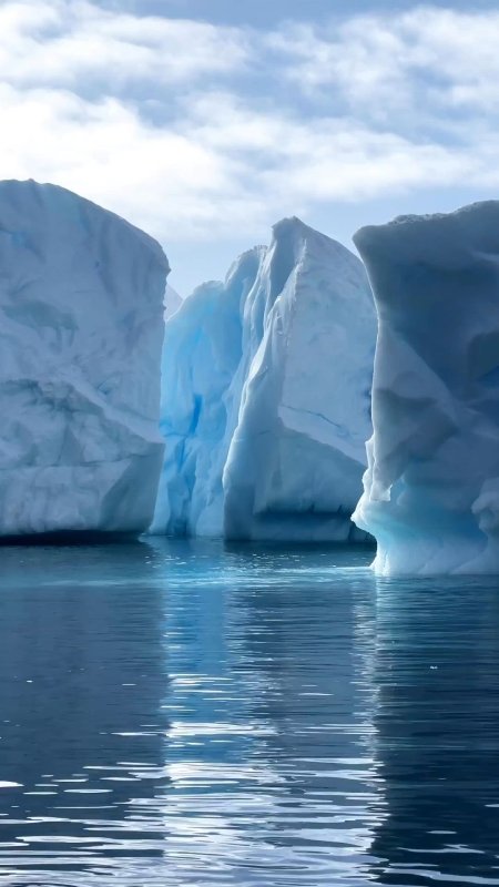 Blue icebergs in antarctica скачать фон 1080 x 1920