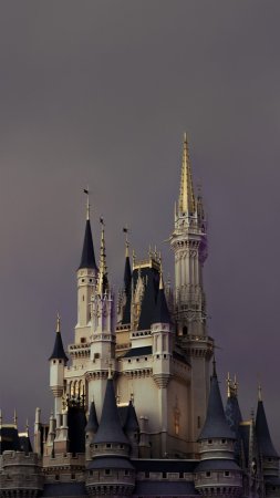 Cinderella s castle скачать фон 1424 x 2532