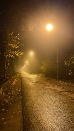 Ночь осень