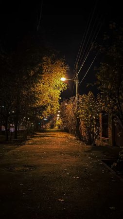 Осень ночь
